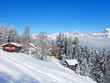 Winter holiday house