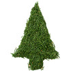Green tree of the needles