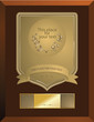 medal of honor