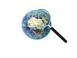 Global Search
