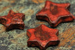 Foto: rote Weihnachtssterne rote Weihnachtssterne