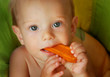 boy with a carrot in his hands and mouth boy with a carrot in his hands and mouth