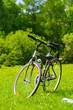 bicycle at sunny park
