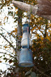 Lampe à pétrole