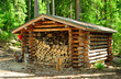 Wood-stack for tourists in the large park