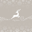 Jumping Reindeer & Snowflake Ornament