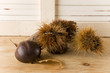Chestnut