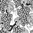 Seamless grape background black and white