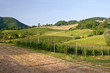 Typical Tuscan landscape Typical Tuscan landscape