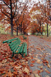 autumn alley and bench autumn alley and bench