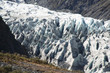 Fox Glacier, New Zealand