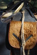 Saddlebag