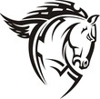 Beautiful Horse.
