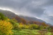 Esencia de otoño