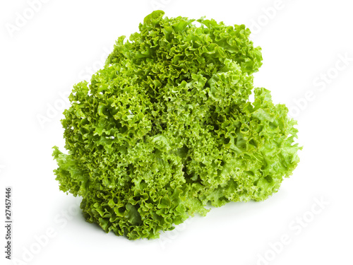 Foto: lollo bionda lettuce isolated lollo bionda lettuce isolated