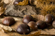 castagne
