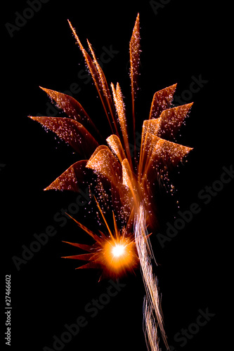 Photo: Fireworks Fireworks