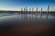 Cap ferret 3