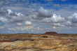 Petrified forest Petrified forest