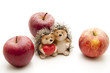 Igelpaar und Äpfel Igelpaar und Äpfel