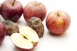 Igel und halber Apfel Igel und halber Apfel