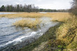 early autumn lakeshore early autumn lakeshore