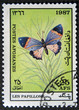AFGHANISTAN - CIRCA 1987: shows butterfly near the flower AFGHANISTAN - CIRCA 1987: shows butterfly near the flower