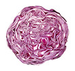 Red Cabbage Cross Cut on Whiteout Background