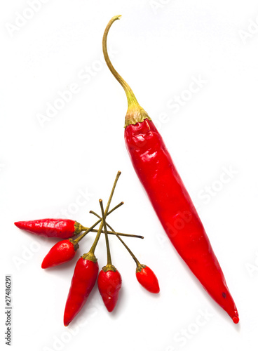 Photo: peperoncini 1 peperoncini 1