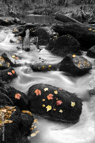 Photo: autum river autum river