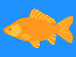 gold fish - vector gold fish - vector
