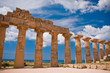 Greek temple in Selinunte