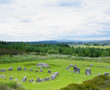 Photographie : stone circles, Beaghmore, County Tyrone, Northern Ireland