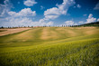 Typical Tuscan landscape