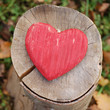 coeur nature