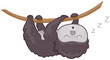 Sloth