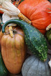 zucca