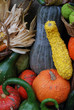 zucca
