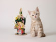 仔猫と門松