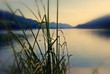 Abendstimmung am See