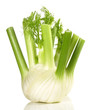 Gemüsefenchel