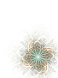 Fractal flower background Fractal flower background