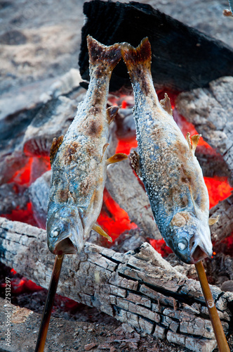 Photo: Trout Trout