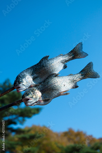 Photo: Trout Trout