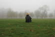 Foto: morgendliche Gedanken morgendliche Gedanken