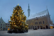 Winter town