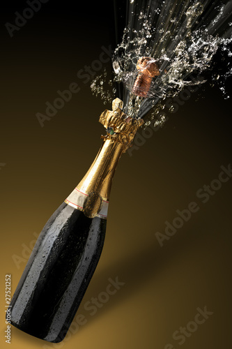 Photo: champagne cork champagne cork
