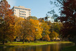 Automne dans un parc de Bruxelles