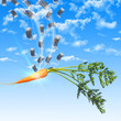 Orange carrot in the sky