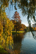 automne dans un parc de Bruxelles